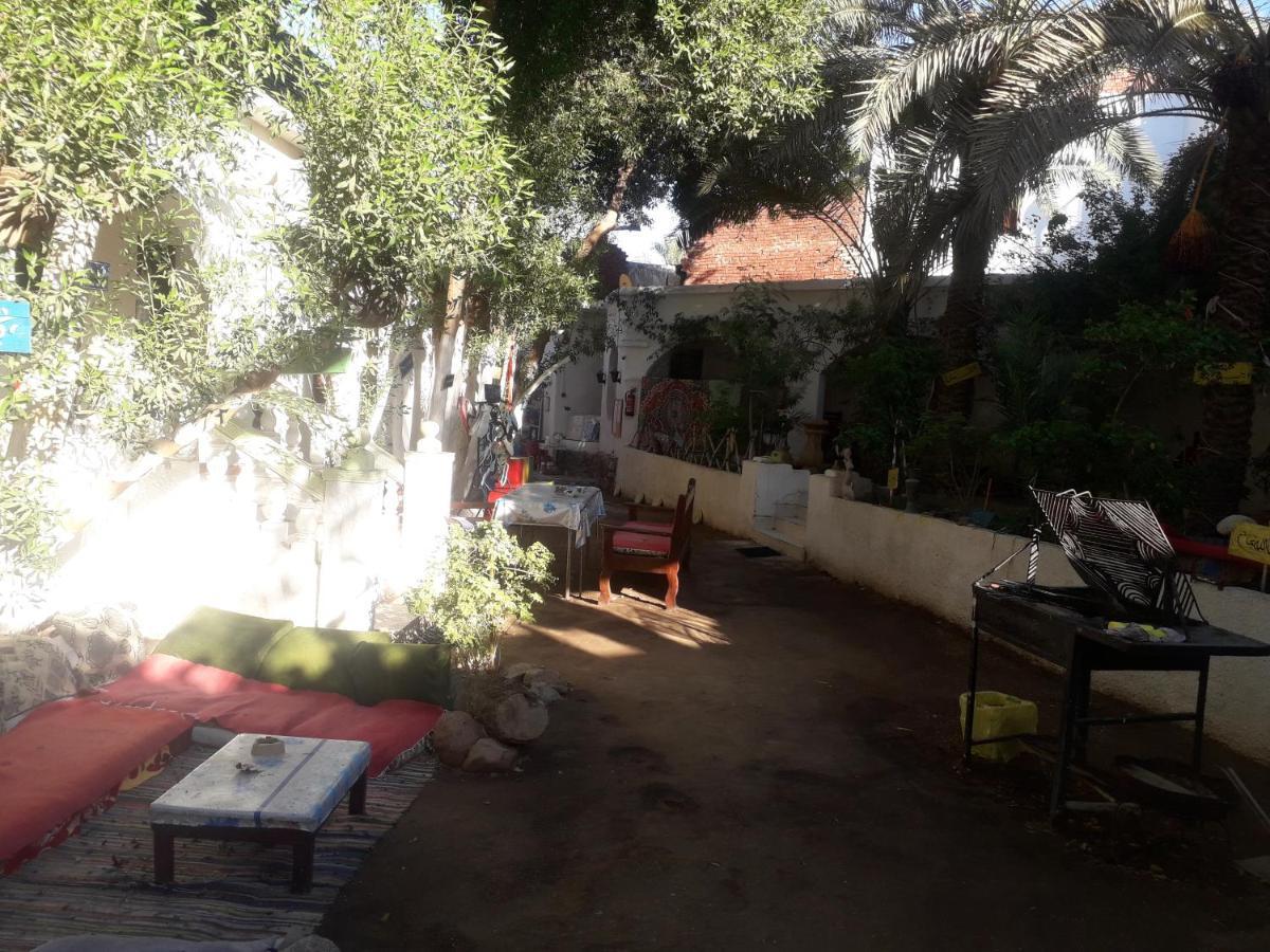 Fighting Kangaroo Camp Hotel Dahab Kültér fotó