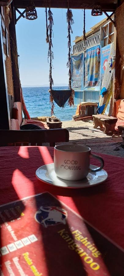 Fighting Kangaroo Camp Hotel Dahab Kültér fotó