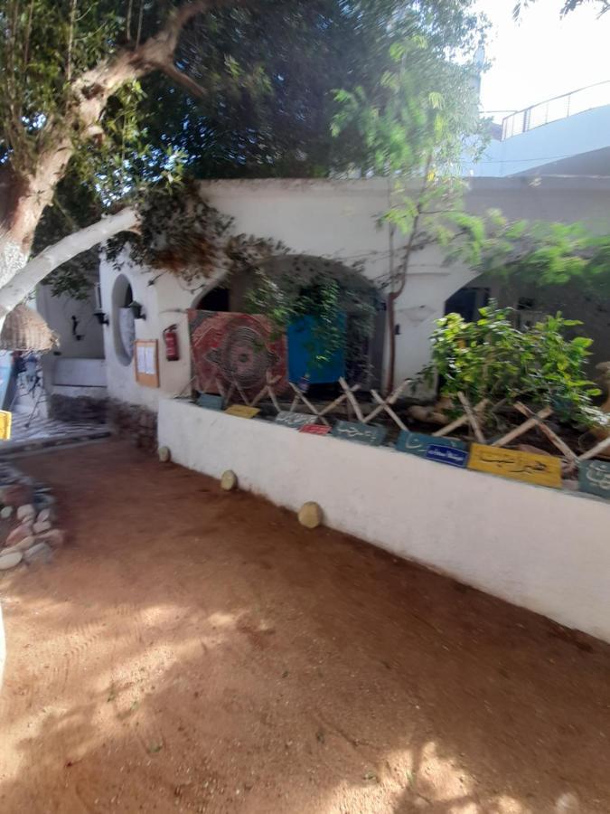 Fighting Kangaroo Camp Hotel Dahab Kültér fotó
