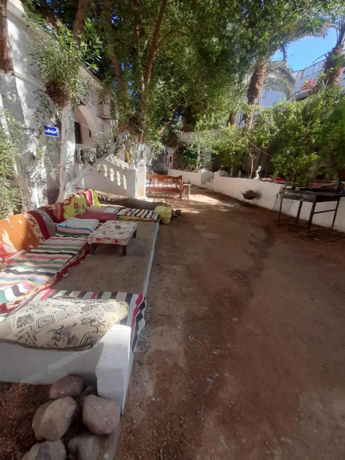 Fighting Kangaroo Camp Hotel Dahab Kültér fotó