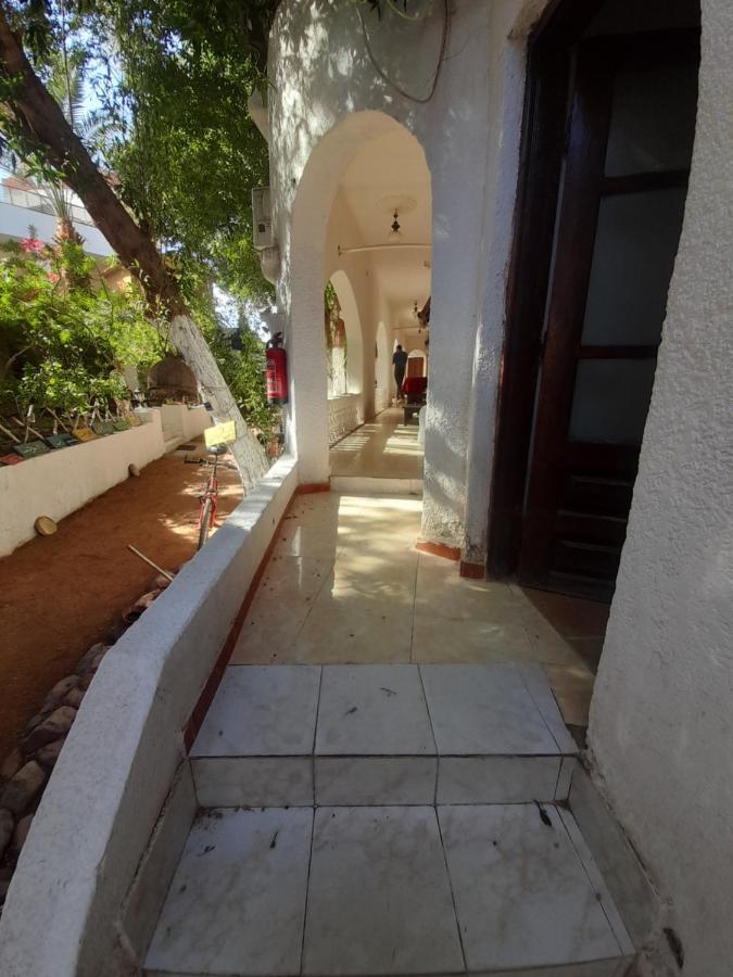 Fighting Kangaroo Camp Hotel Dahab Kültér fotó