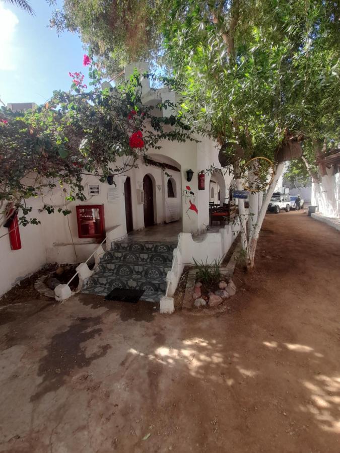 Fighting Kangaroo Camp Hotel Dahab Kültér fotó