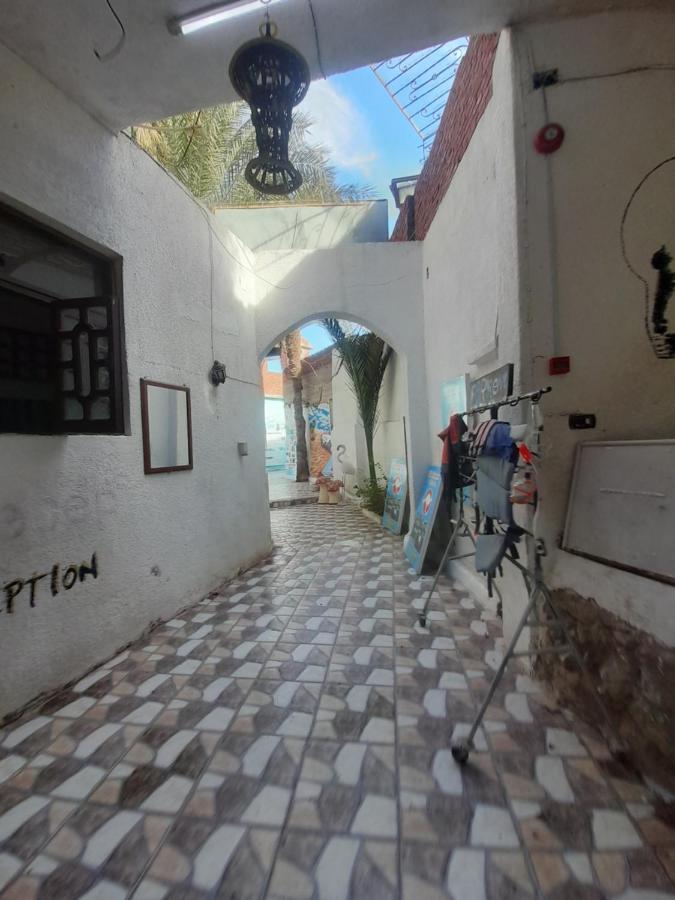Fighting Kangaroo Camp Hotel Dahab Kültér fotó