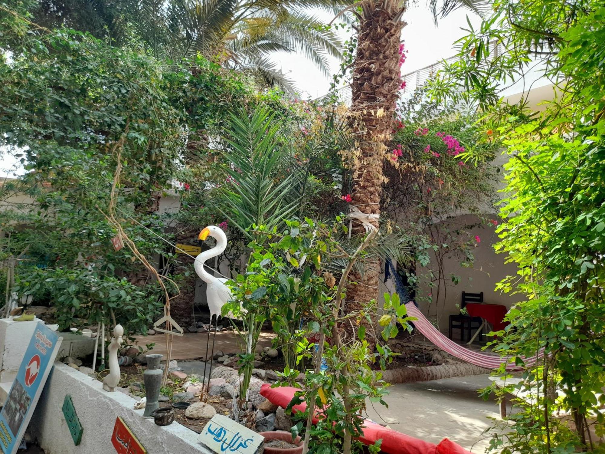 Fighting Kangaroo Camp Hotel Dahab Kültér fotó