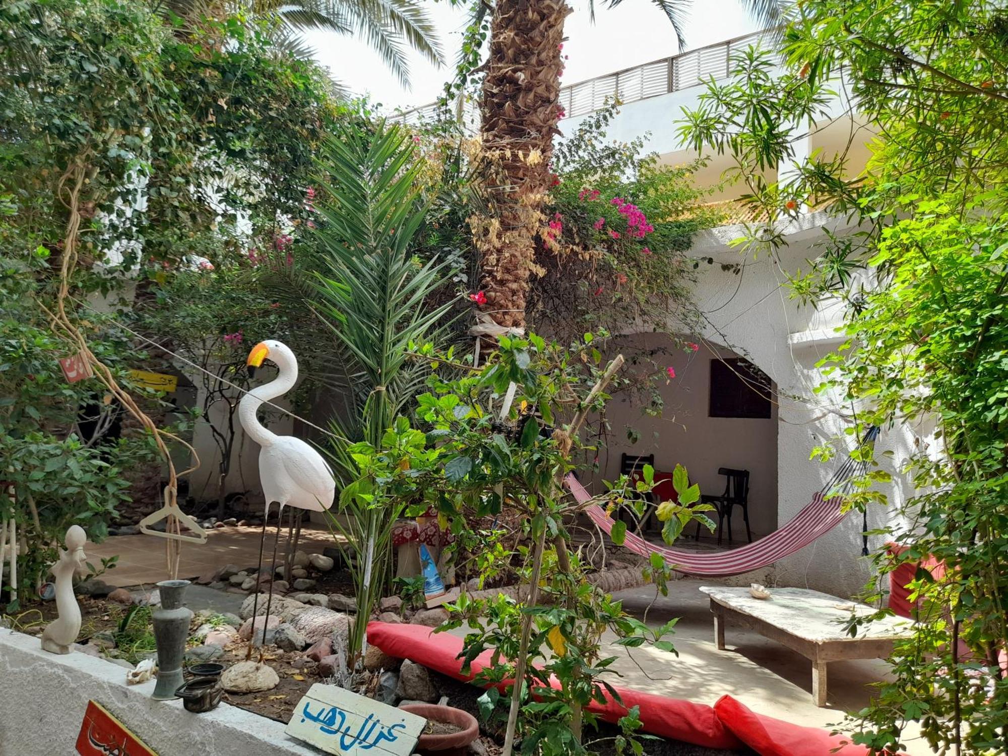 Fighting Kangaroo Camp Hotel Dahab Kültér fotó